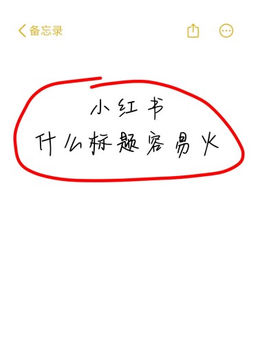 爆款吸睛大字小红书封面