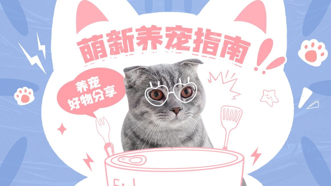 宠物救助宣传横版视频封面预览效果