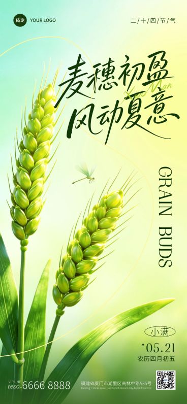 小满节气祝福通用清新感全屏竖版海报预览效果