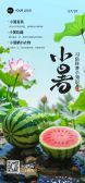 模板缩略图