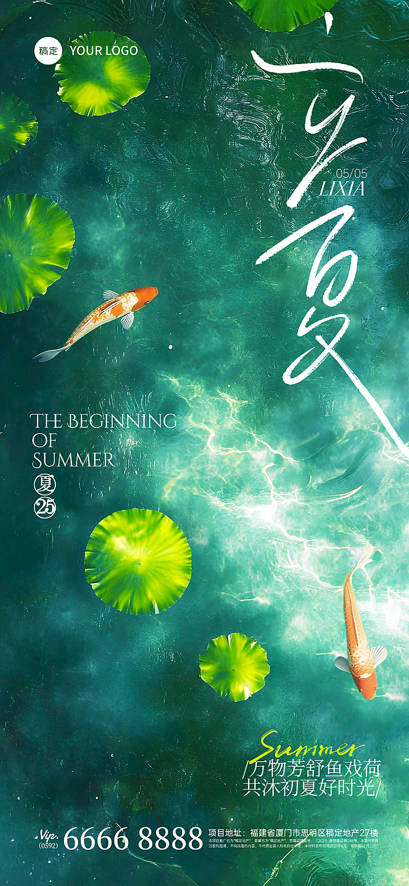 立夏实景感光影荷叶锦鲤池塘俯视背景全屏手机海报