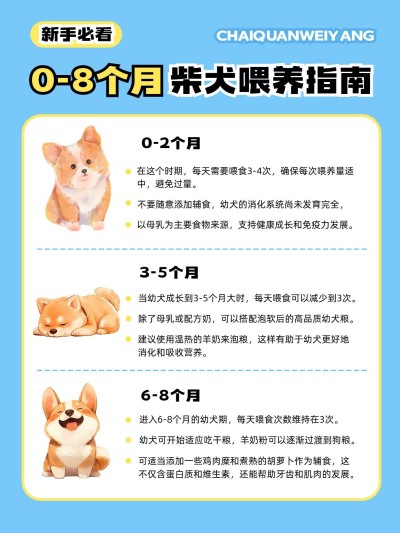 宠物知识科普手帐风套装小红书配图aigc