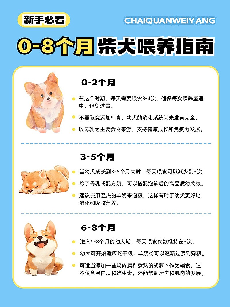 宠物知识科普手帐风套装小红书配图aigc