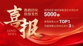 模板缩略图