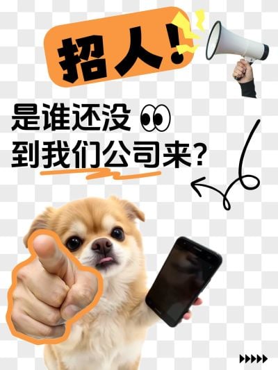 爆款吸睛大字梗图表情包小红书封面aig