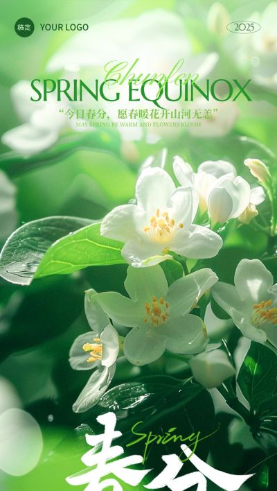 春分节气实景感光影花朵海报AIGC