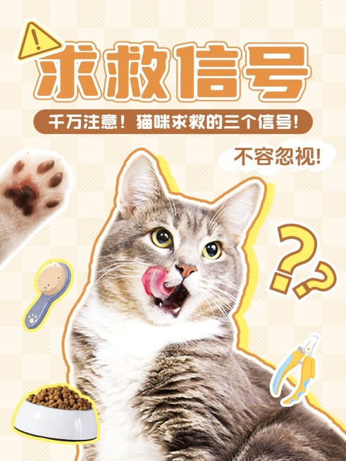 宠物攻略指南知识科普小红书套装小红书封面预览效果