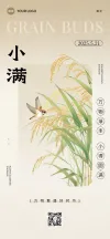 小满文字