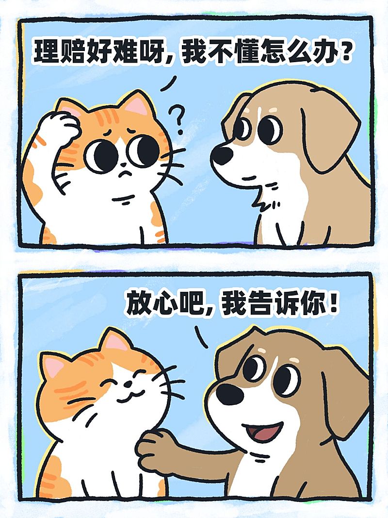 保险理赔流程猫狗对话小红书封面