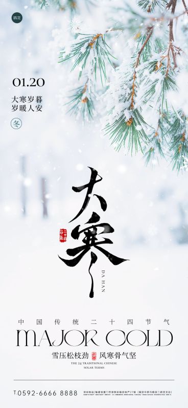 大寒节气祝福实景感积雪松枝全屏竖版海报预览效果