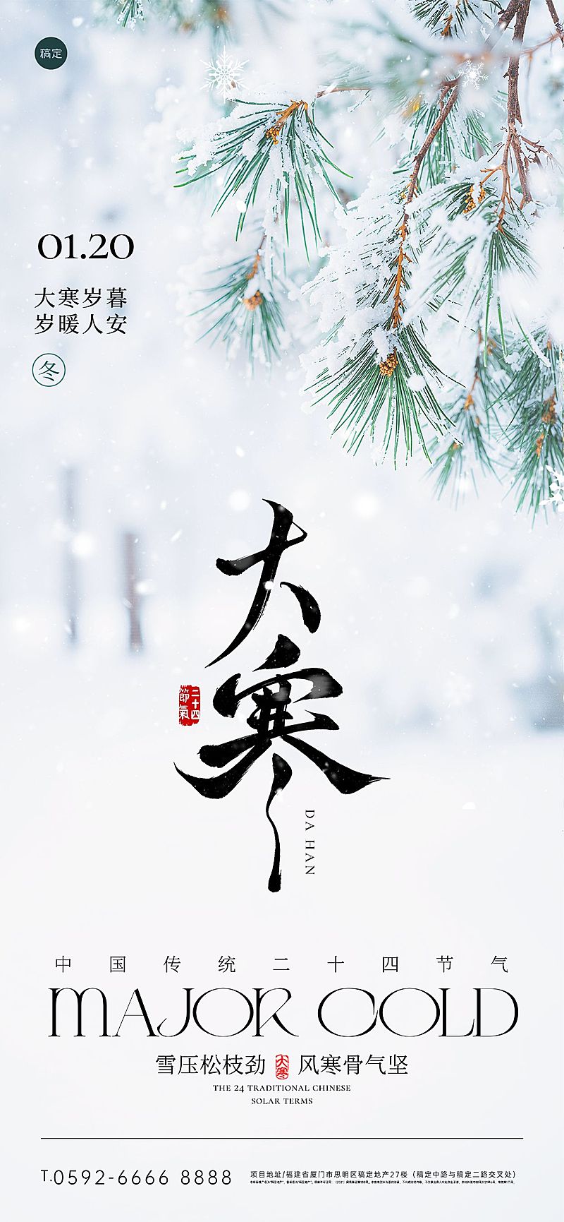 大寒节气祝福实景感积雪松枝全屏竖版海报