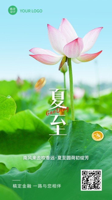 金融保险夏至节气祝福问候清新风实景手机海报预览效果