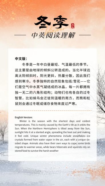 冬季背景中英文阅读理解知识科普海报预览效果