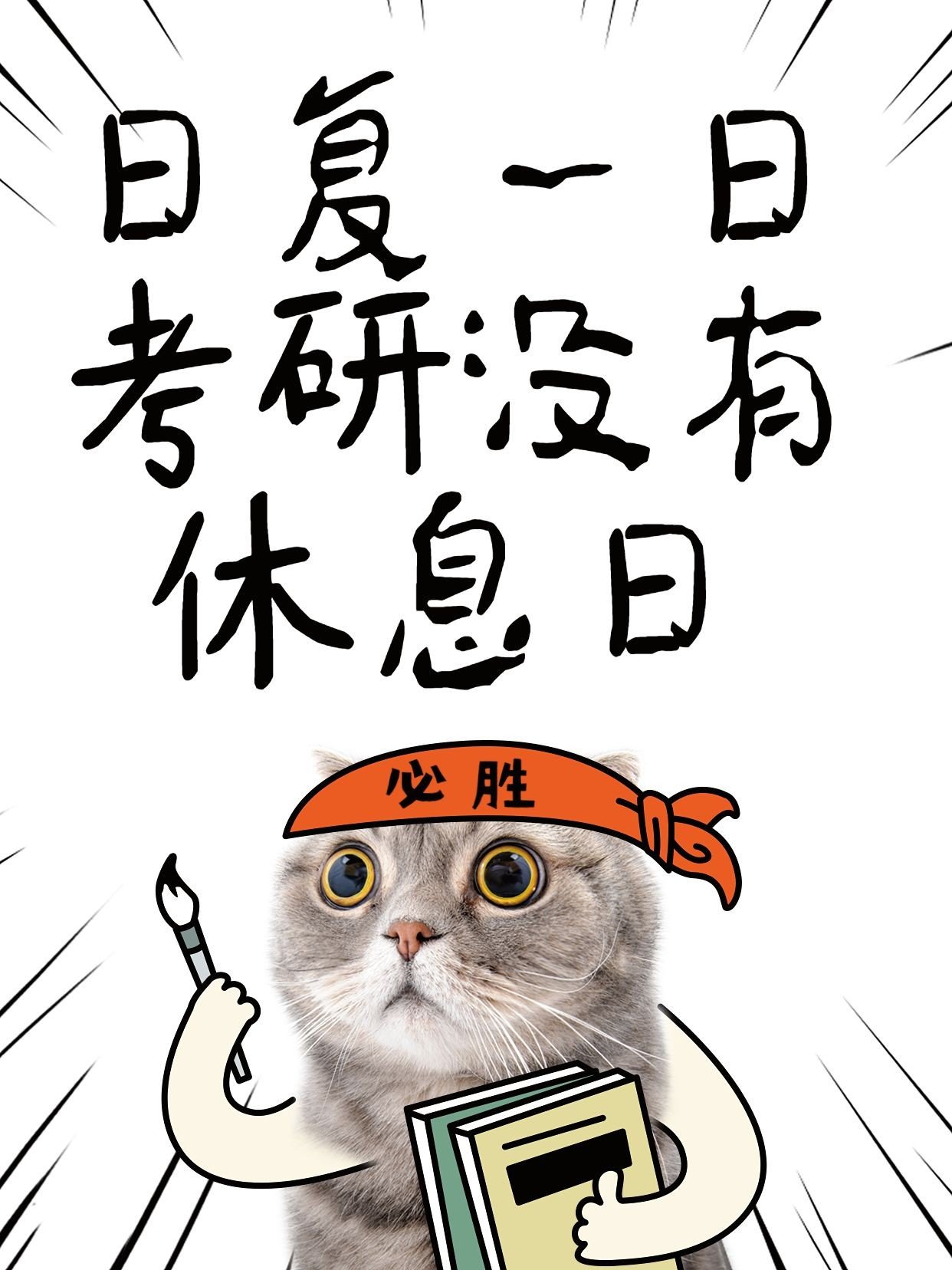 教育吸睛梗图猫咪表情包趣味分享小红书封面