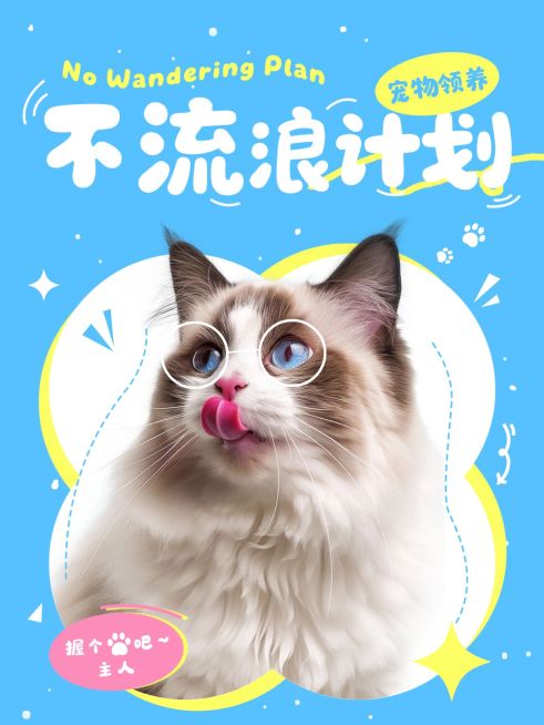 宠物领养公益宣传爆款小红书封面预览效果