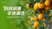 模板缩略图
