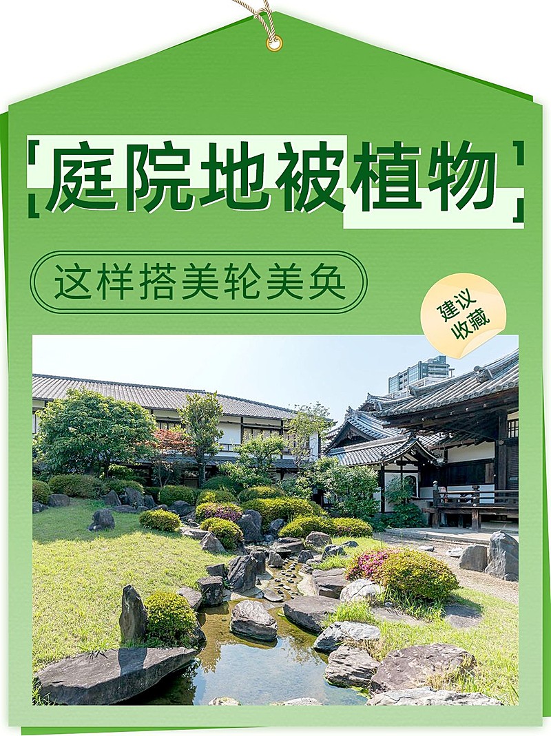 园林建筑实景配图排版小红书封面