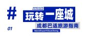 模板缩略图