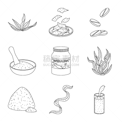 素食,食品,计算机图标,蔬菜,健康保健,螺线,清新,营养品,维生素,草