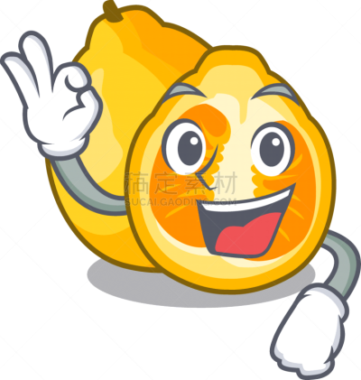 吉祥物,牙买加丑橘,果盘,酸,可爱的,篮子,多样,食品,维生素,调味品
