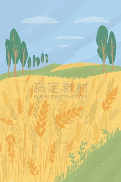 概念,农业,田地,小麦,地形,大麦,面粉,农场,植物,户外