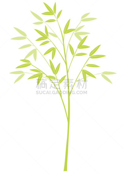 竹,草,无人,矢量,白色背景,植物,垂直画幅,七夕节,图像,剪贴画