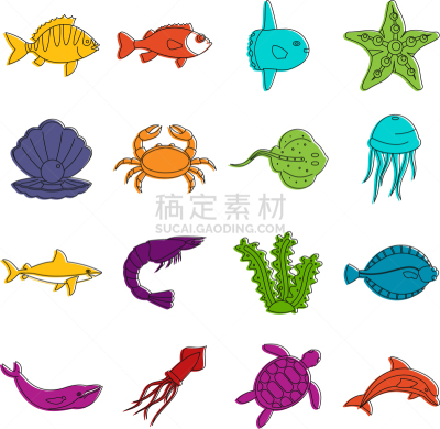 乱画,海洋生命,可爱的,图像,鲽,水母,海洋,鲸,海豚,收集