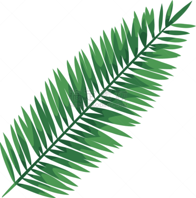 叶子,鸡尾酒,热带气候,棕榈树,图标,夏天,华丽的,自然美,创造力,高雅