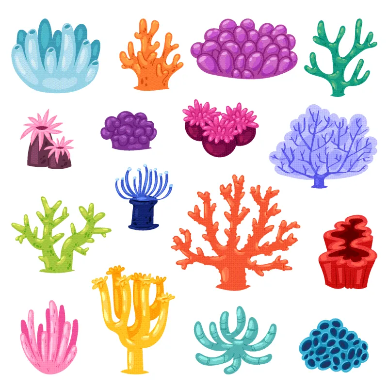珊瑚 珊瑚图片 珊瑚素材下载 稿定素材