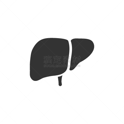 计算机图标,白色背景,肝脏,分离着色,生物学,健康保健,人,图像,生病,设计