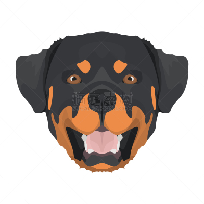 罗威纳犬,宠物,图像,狗,猎犬,艺术,矢量,吠声,小狗,绘制