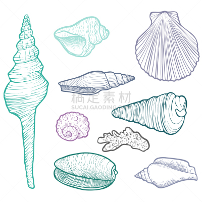贝壳,动物手,分离着色,白色,鸡尾酒,自然,螺线,绘制,收集,装饰