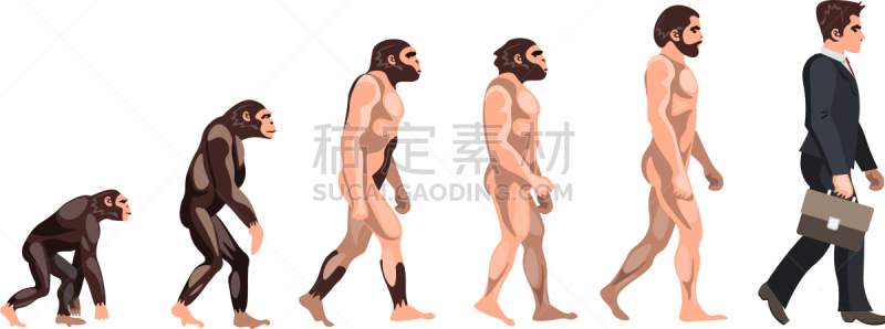 收银机,过去,男穴居人,人,男人,人属,概念,科学,进化,生长