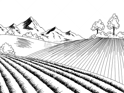 草图,矢量,黑色,白色,绘画插图,耕地,地形,插画,农业,空的
