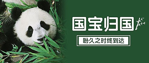 热点大熊猫丫丫回国公众号首图公众号套装