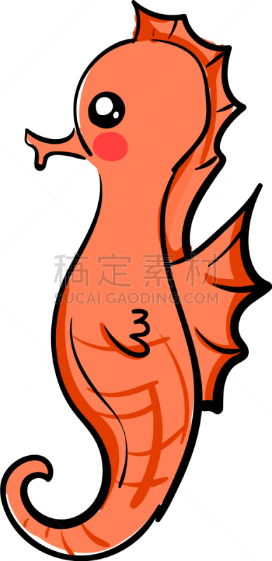 可爱的,白色背景,海马,野生动物,海星,自然美,动物,水生动植物,夏天,草图