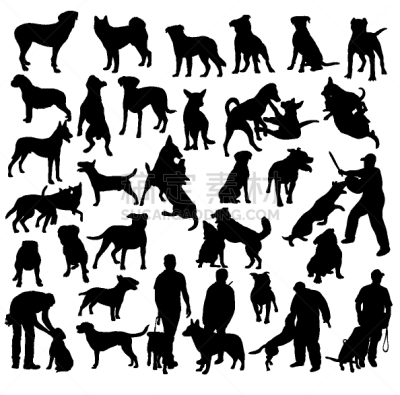 狗,纯种犬,大麦町,梗犬,赛特种猎狗,巴哥犬,现代,动物,斯班尼犬,爱