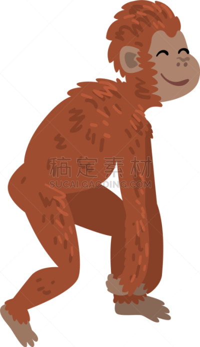 生物学,猿,动物,人,猴子,人属,灵长目,哺乳纲,理想化的,进展
