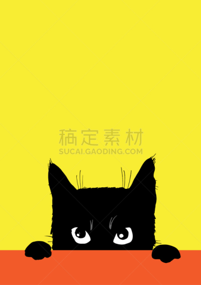猫,黑色,狂怒的,可爱的,十月,魔鬼,哺乳纲,坐