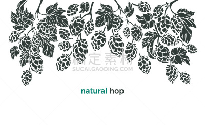 生物学,饮料,矢量,植物学,国境线,农业,蔬菜,含酒精饮料,背景分离,边框