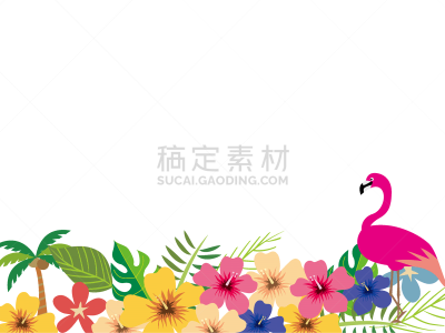 绘画插图,图像,南,非都市风光,饮料,热,太平洋岛屿,新婚夫妇,巨嘴鵎鵼,首里城