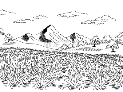草图,绘画插图,种植园,白色,龙舌兰属植物,矢量,田地,地形,黑色,插画
