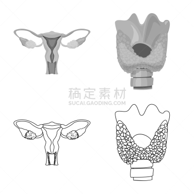 人,图标集,人类的生殖器官,卵巢,咽喉,喉,内分泌系统,人类腺体
