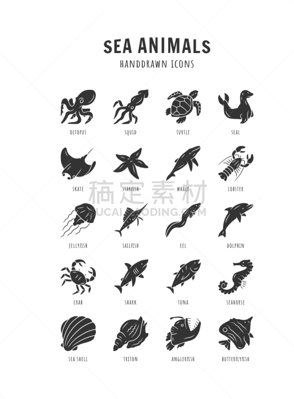 绘画插图,海洋,符号,海豹,计算机图标,矢量,海星,蝴蝶鱼,水生动植物,动物学