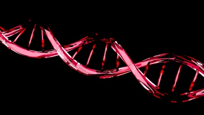黑色分离的红色DNA分子结构