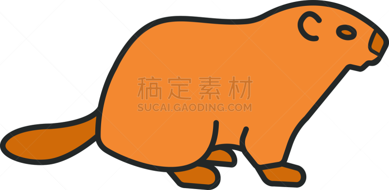 计算机图标,彩色图片,土拨鼠日,两个物体,野生动物,海狸,加拿大,哺乳纲,二月,动物