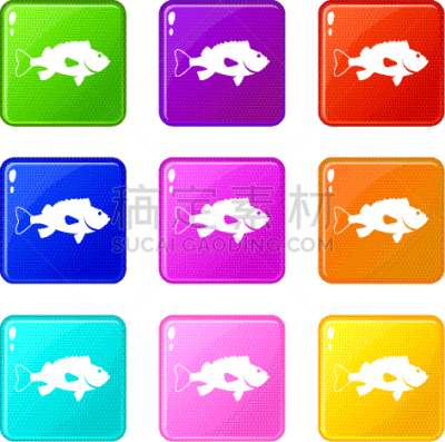 数字9,海洋,鲈,计算机图标,自然,海产,清新,食品,收集,烹调