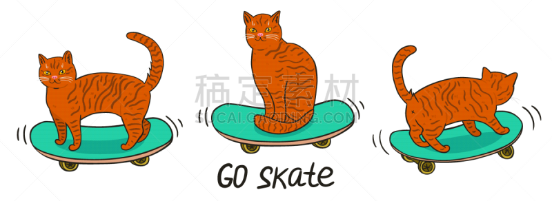猫,矢量,滑板,分离着色,数码图形,白色背景,可爱的,传统,运动,背景分离