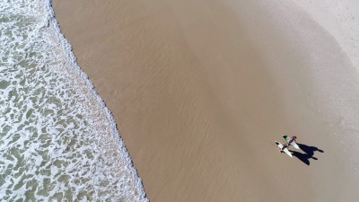 一群冲浪者进入海洋的鸟瞰