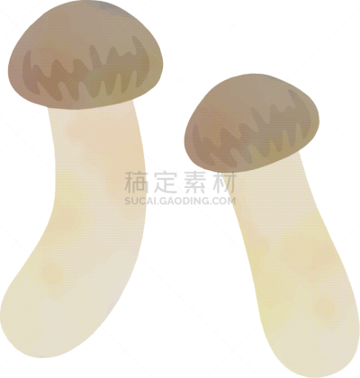 绘画插图,蘑菇,水彩画,蘑菇的结构,蔬菜,菌腮,水彩画颜料,背景分离,食品,成分
